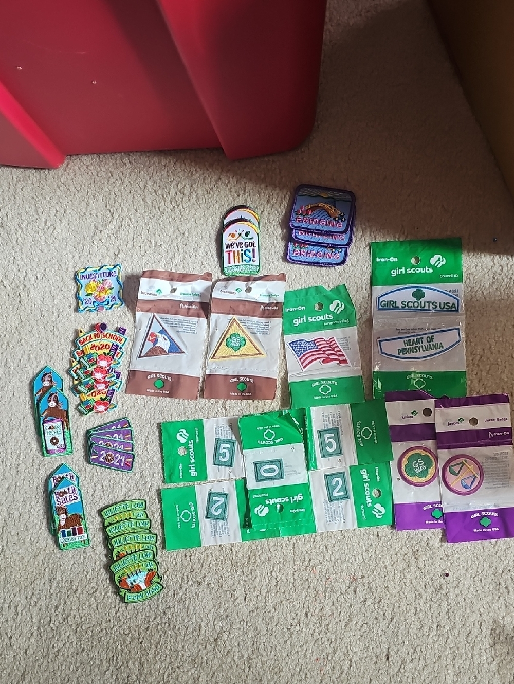 Girl Scouts Assorted Green Patch and Badge Collection